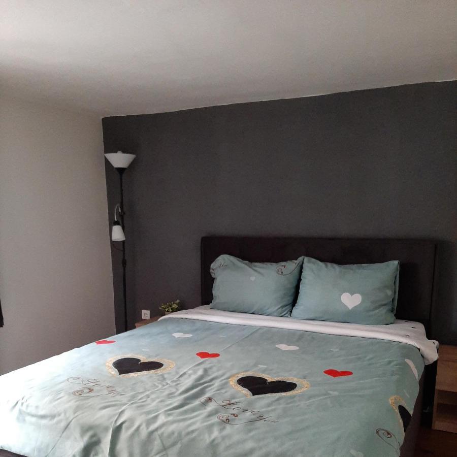 Apartman Zivkovic Leskovac  Extérieur photo