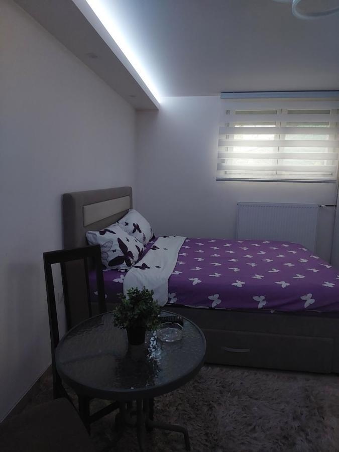 Apartman Zivkovic Leskovac  Extérieur photo