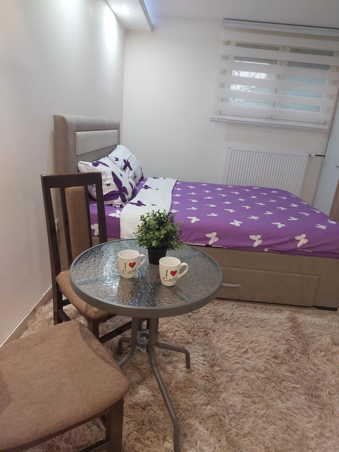 Apartman Zivkovic Leskovac  Extérieur photo