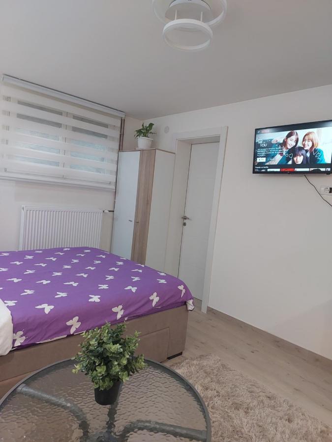 Apartman Zivkovic Leskovac  Extérieur photo