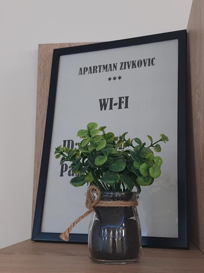 Apartman Zivkovic Leskovac  Extérieur photo