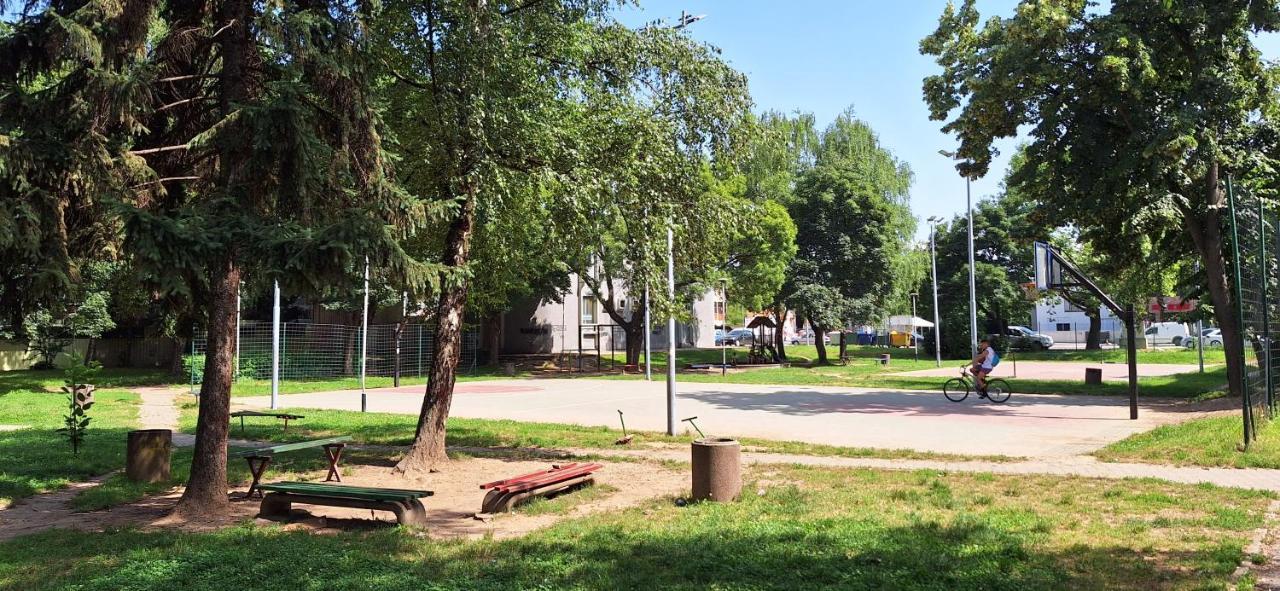 Apartman Zivkovic Leskovac  Extérieur photo