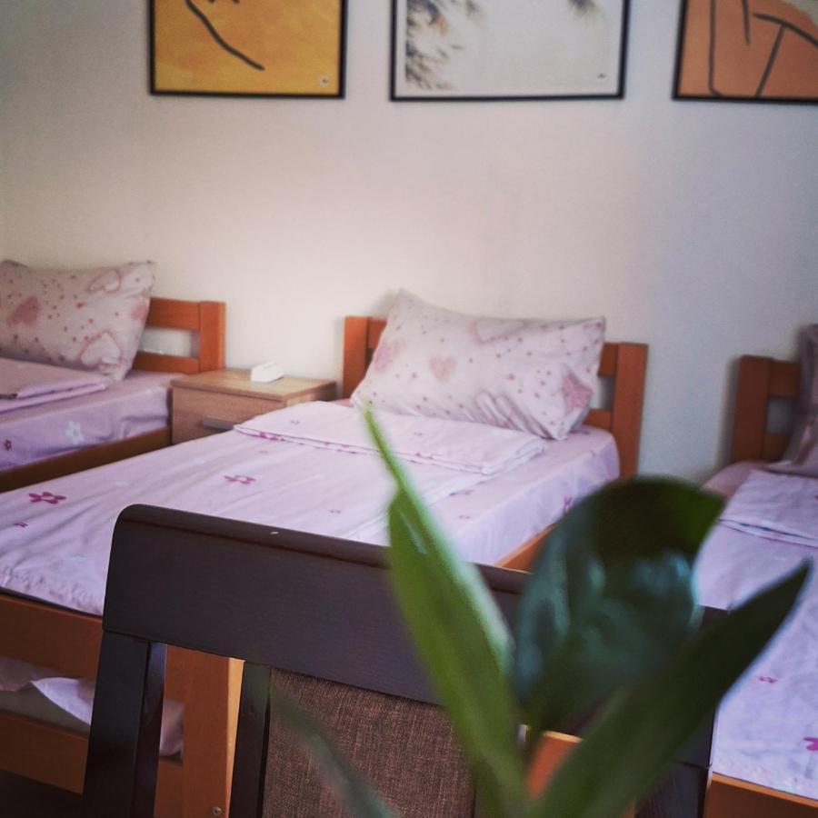 Apartman Zivkovic Leskovac  Extérieur photo